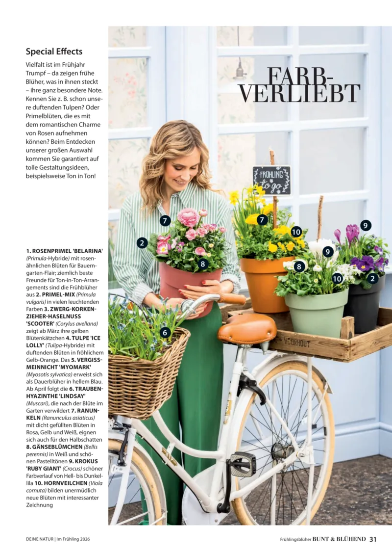 Dehner Prospekt vom 01.04.2026, Seite 31