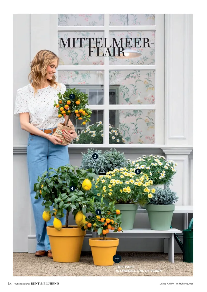 Dehner Prospekt vom 01.04.2026, Seite 34