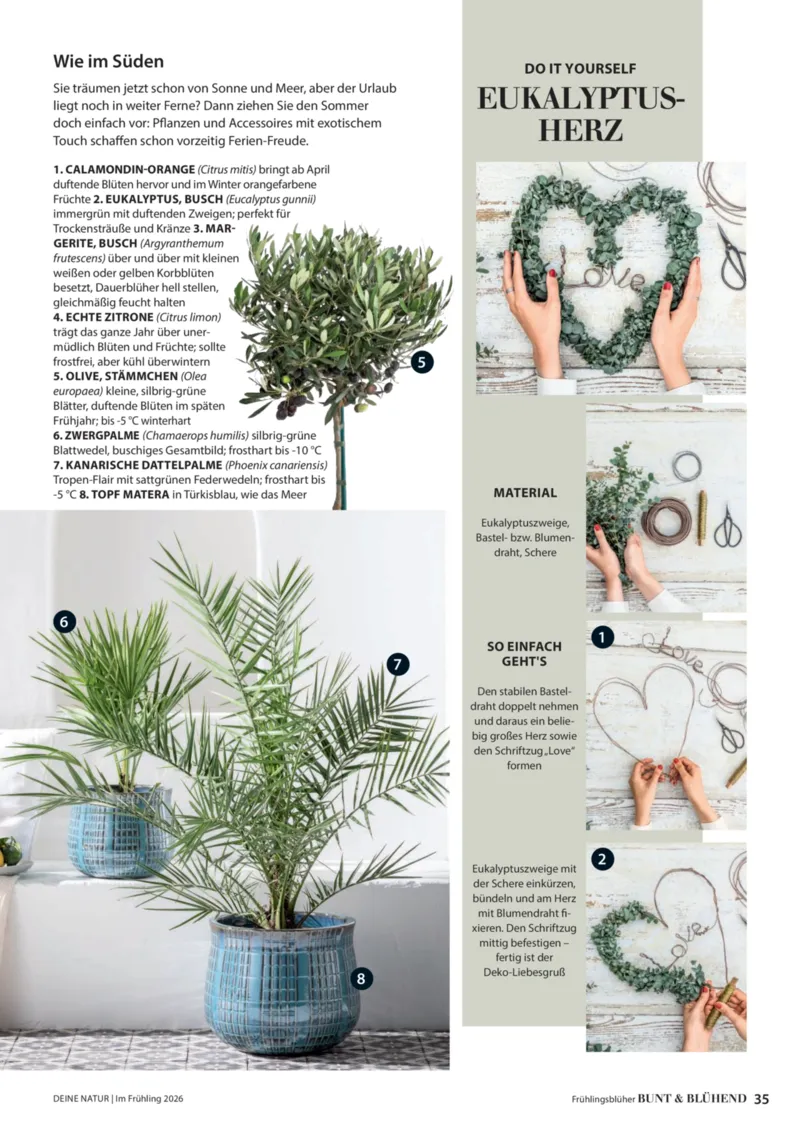 Dehner Prospekt vom 01.04.2026, Seite 35