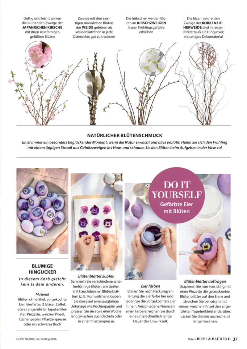 Dehner Prospekt vom 01.04.2026, Seite 37