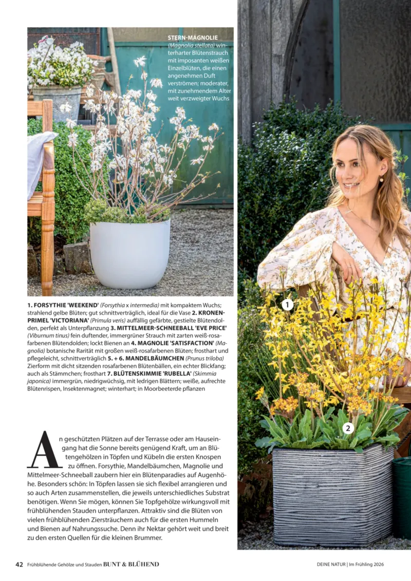Dehner Prospekt vom 01.04.2026, Seite 42