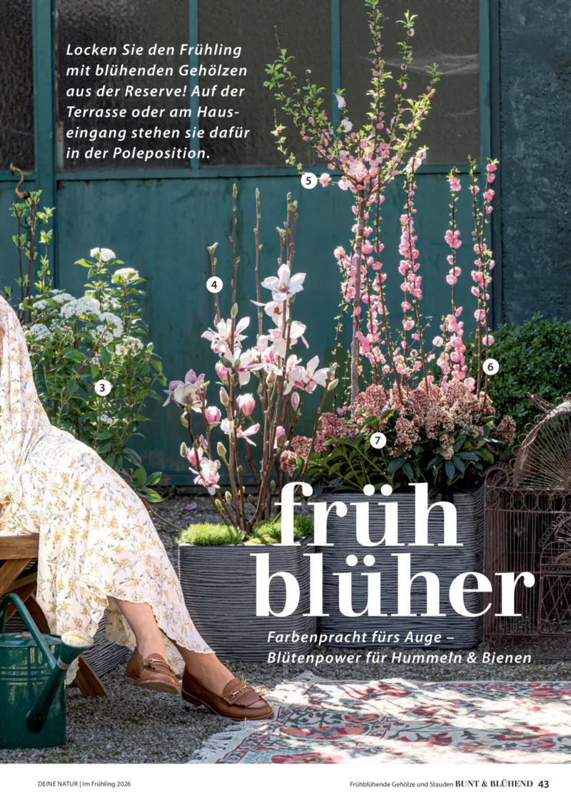 Dehner Prospekt vom 01.04.2026, Seite 43