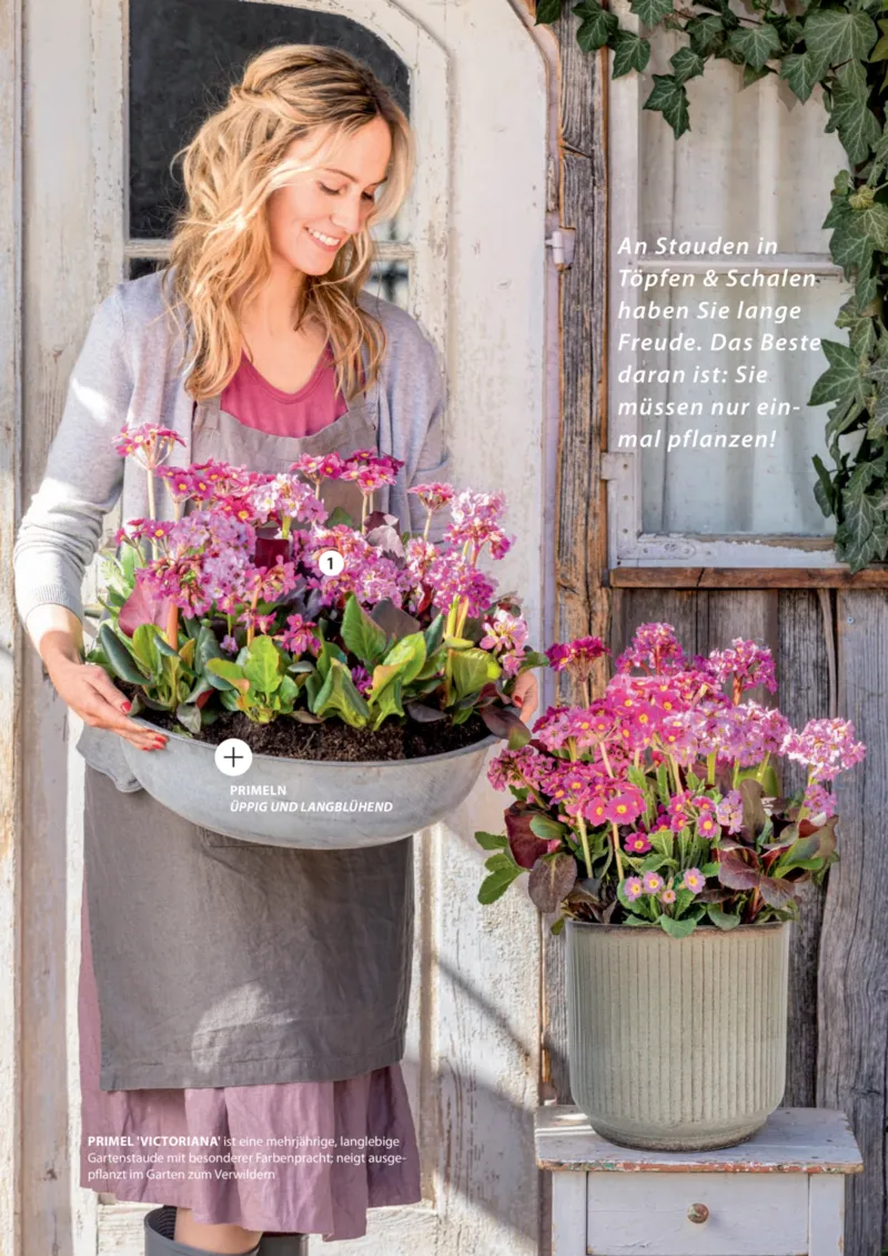 Dehner Prospekt vom 01.04.2026, Seite 44