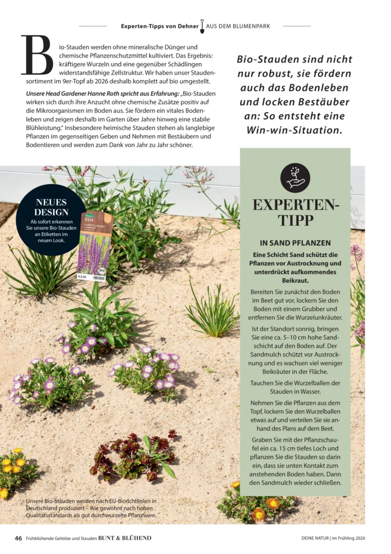 Dehner Prospekt vom 01.04.2026, Seite 46