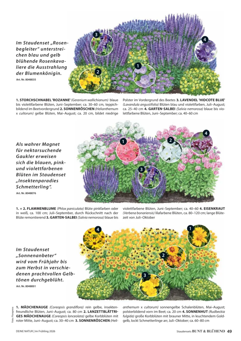 Dehner Prospekt vom 01.04.2026, Seite 49