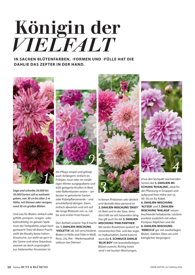 Dehner Prospekt vom 01.04.2026, Seite 50