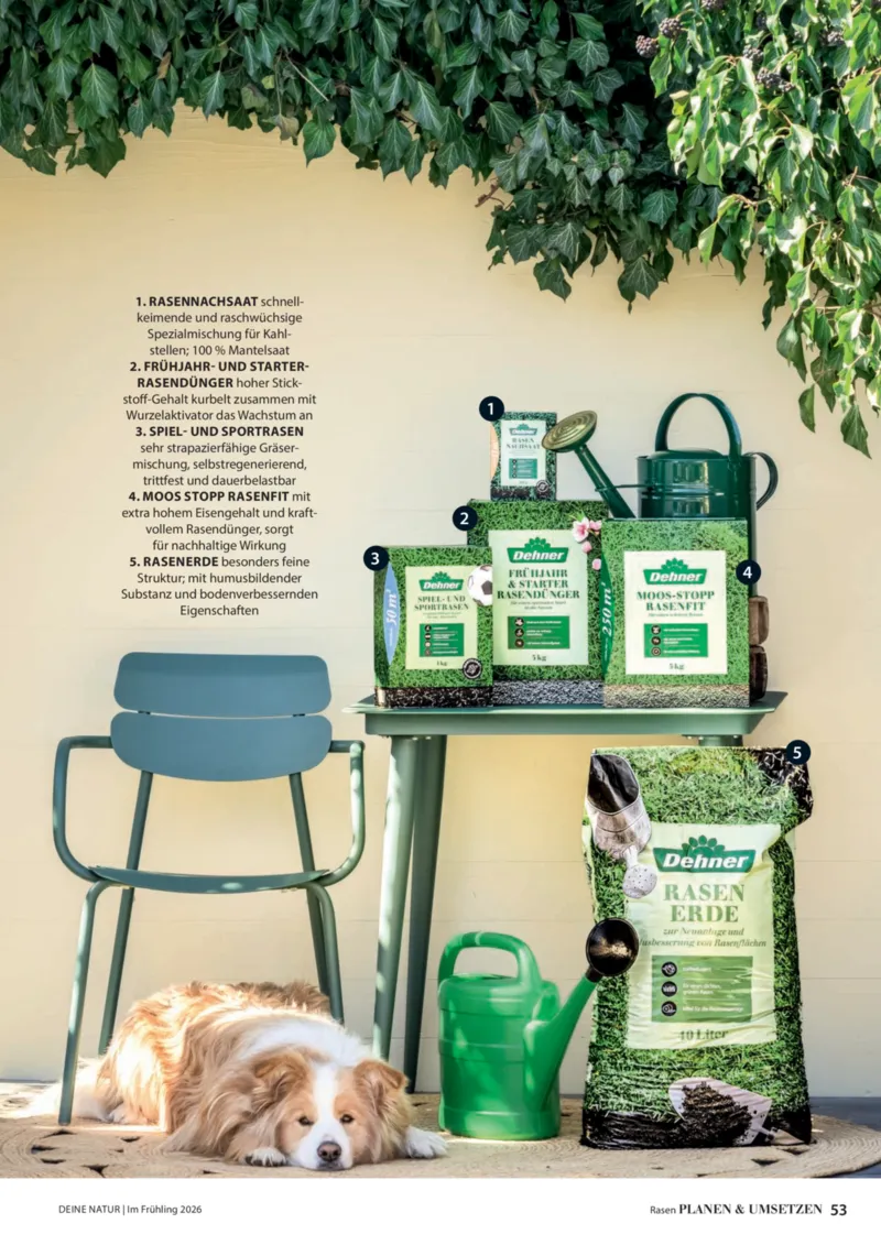 Dehner Prospekt vom 01.04.2026, Seite 53