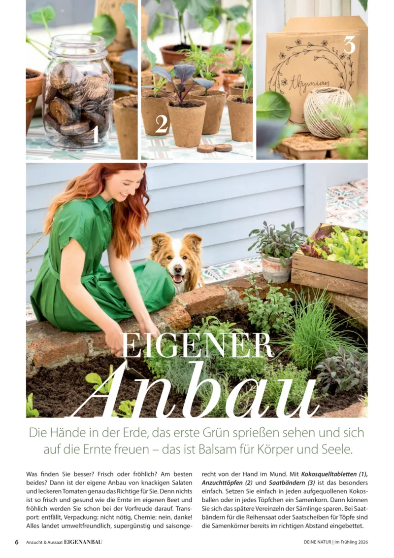 Dehner Prospekt vom 01.04.2026, Seite 6