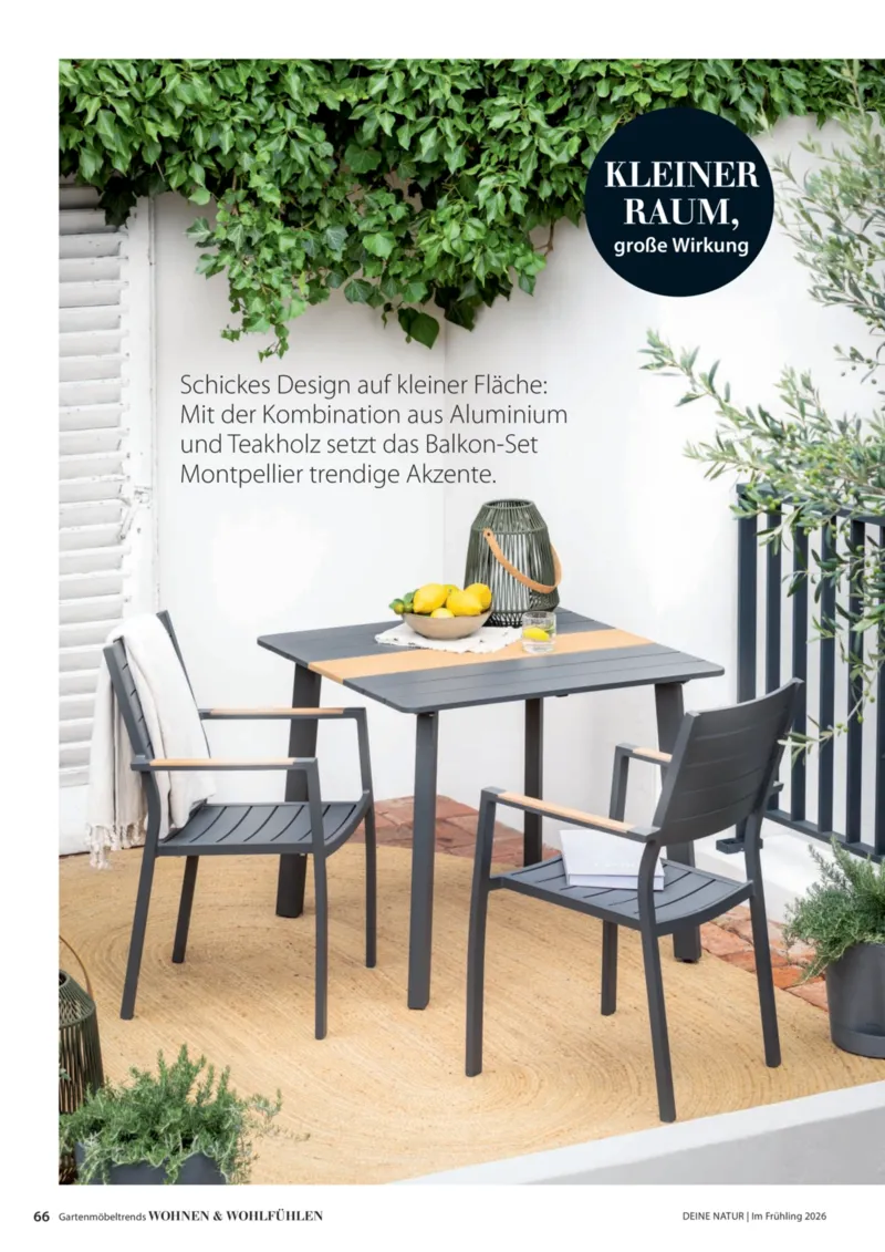 Dehner Prospekt vom 01.04.2026, Seite 66