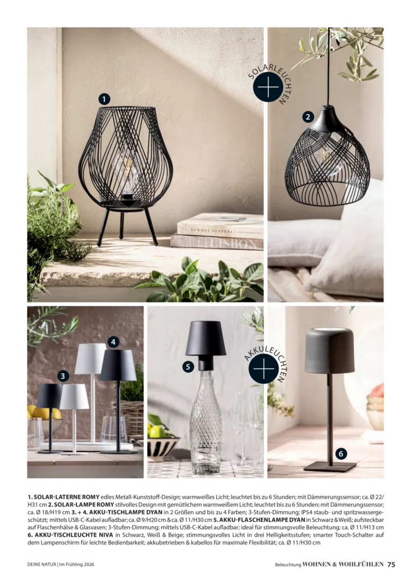 Dehner Prospekt vom 01.04.2026, Seite 75