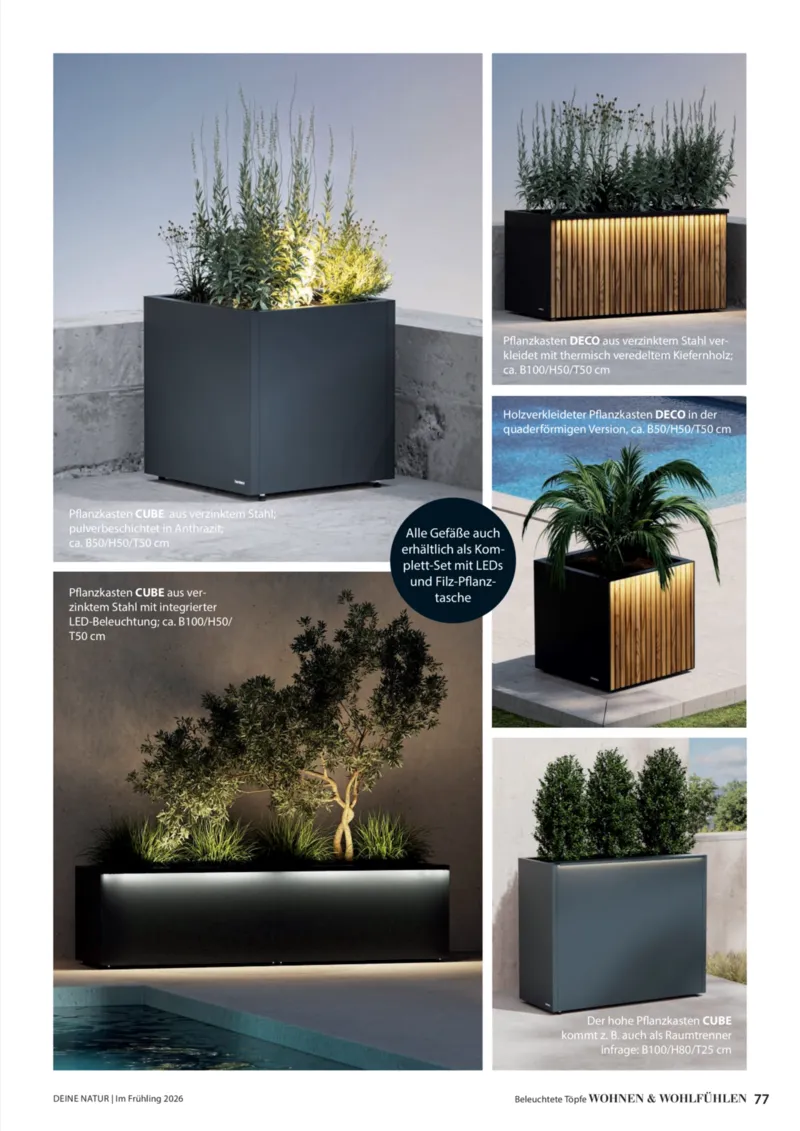 Dehner Prospekt vom 01.04.2026, Seite 77