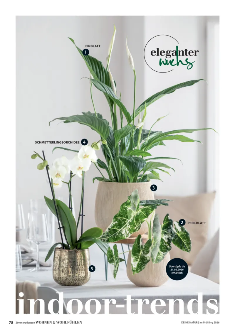 Dehner Prospekt vom 01.04.2026, Seite 78