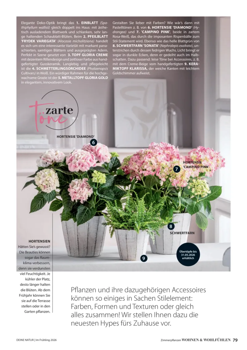 Dehner Prospekt vom 01.04.2026, Seite 79