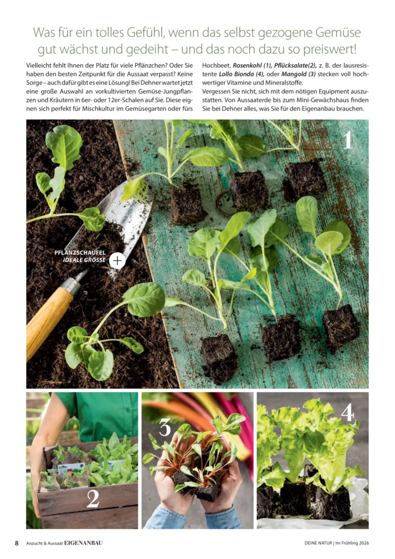 Dehner Prospekt vom 01.04.2026, Seite 8