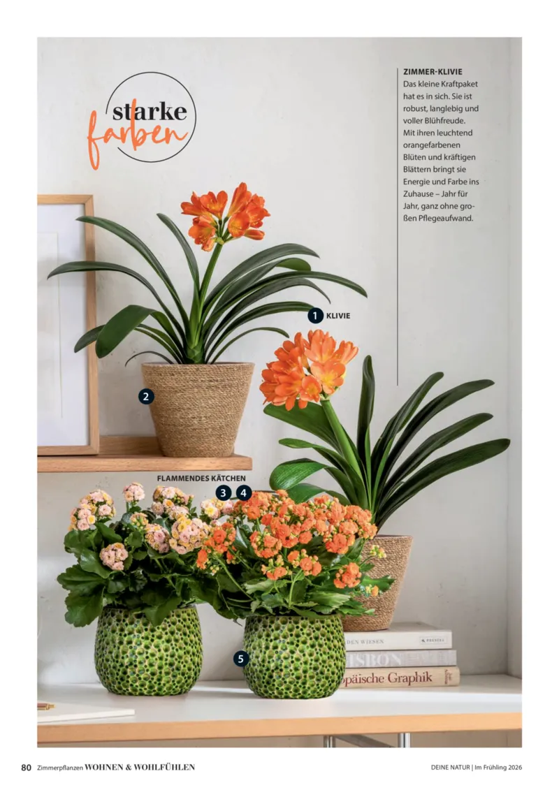 Dehner Prospekt vom 01.04.2026, Seite 80