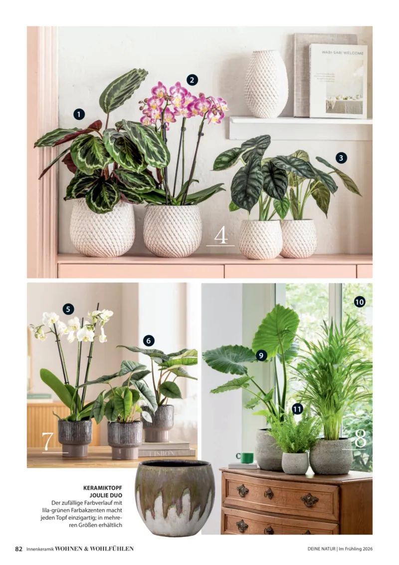 Dehner Prospekt vom 01.04.2026, Seite 82