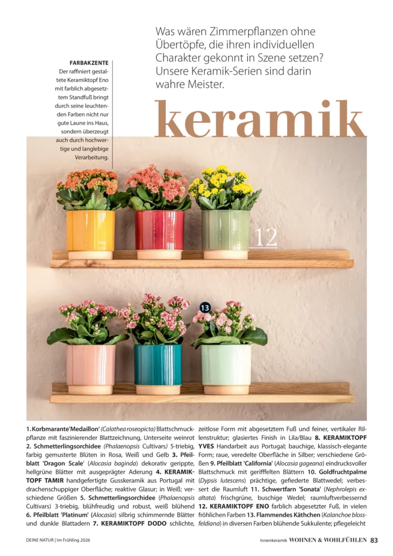 Dehner Prospekt vom 01.04.2026, Seite 83