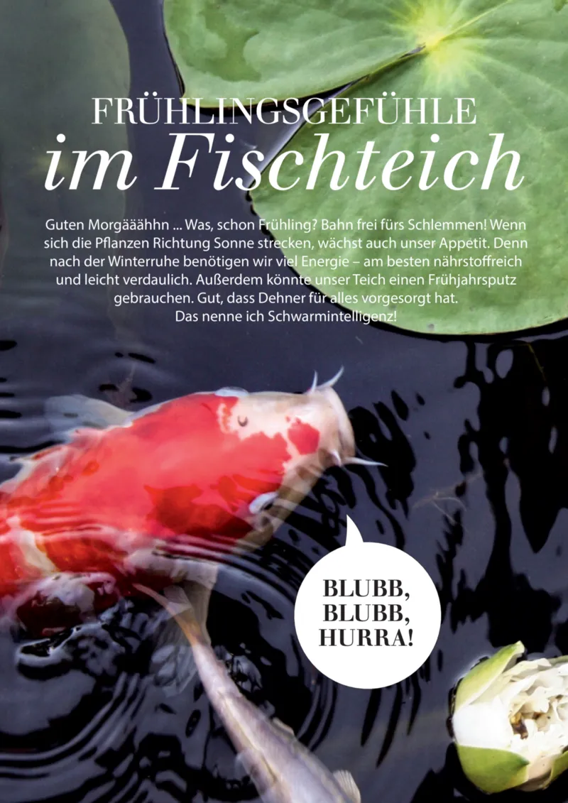 Dehner Prospekt vom 01.04.2026, Seite 90