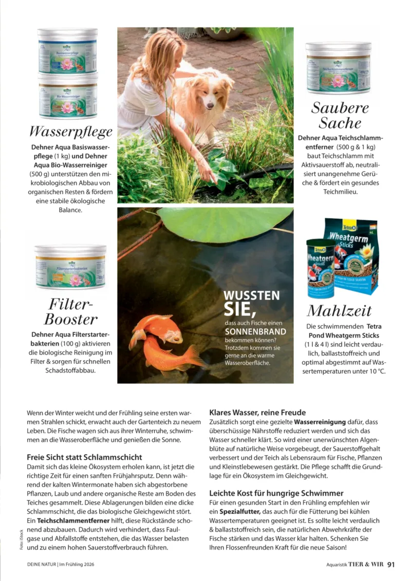 Dehner Prospekt vom 01.04.2026, Seite 91