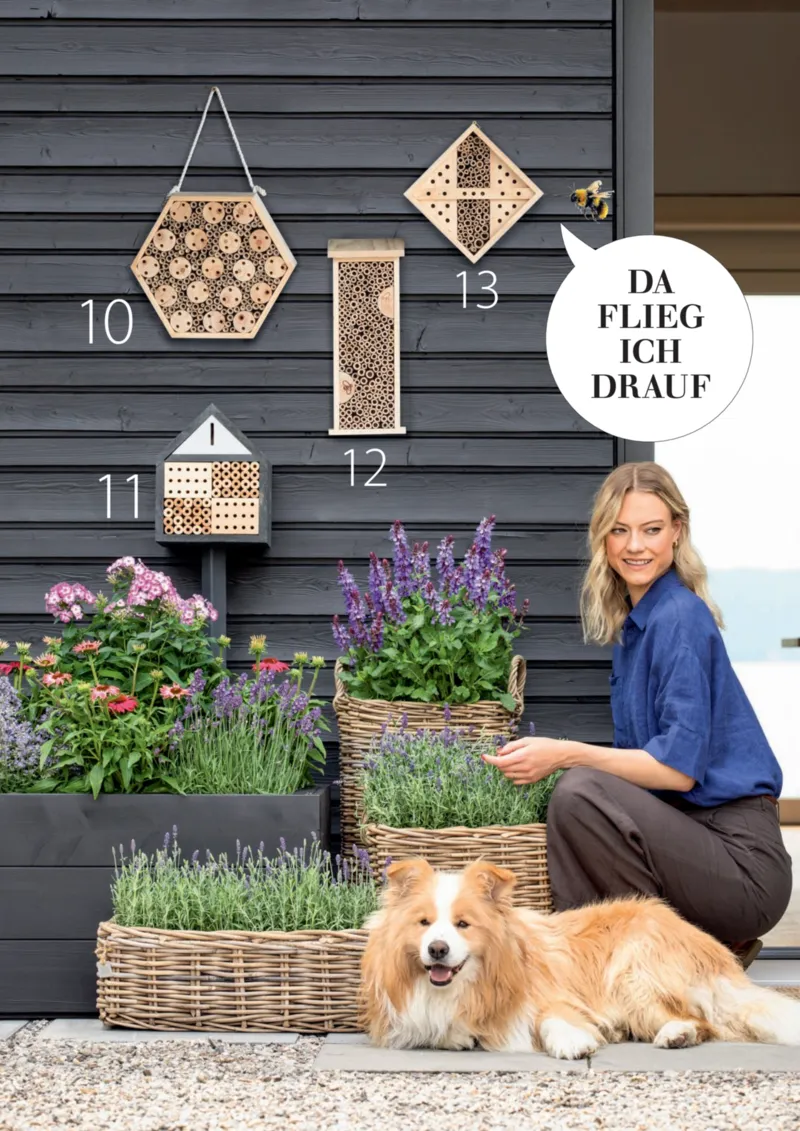 Dehner Prospekt vom 01.04.2026, Seite 95