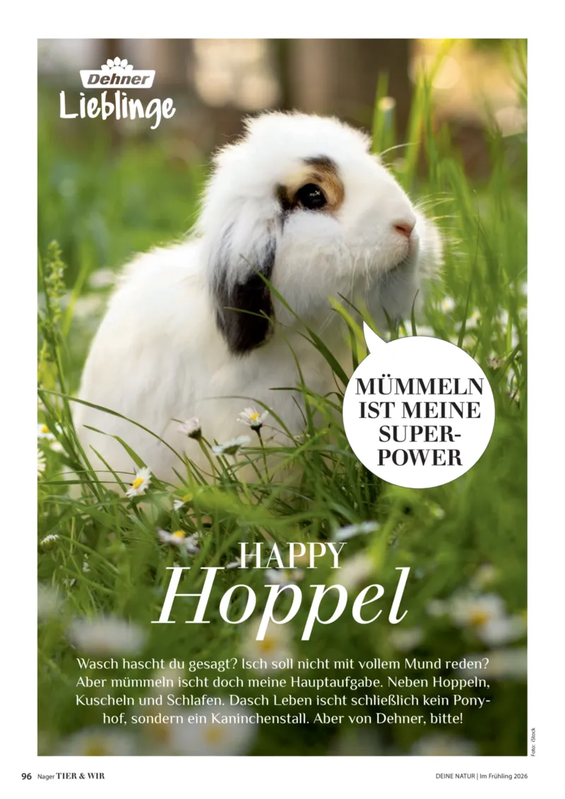 Dehner Prospekt vom 01.04.2026, Seite 96