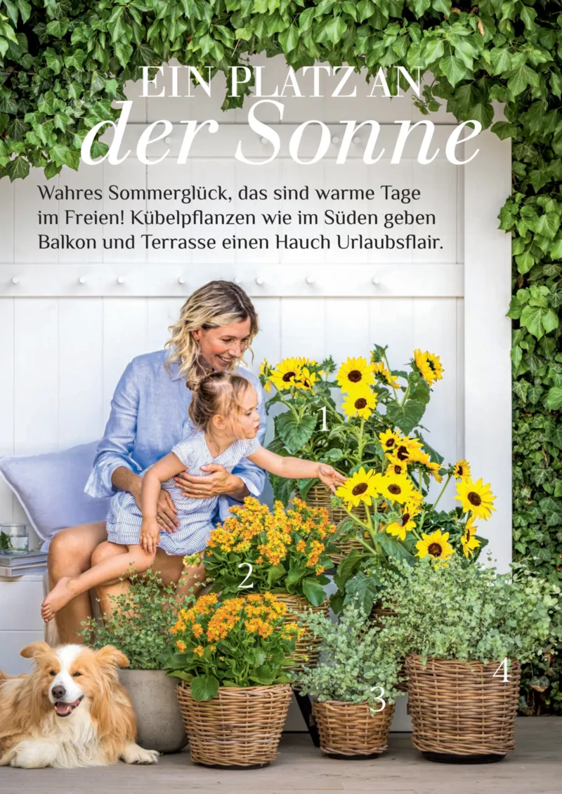 Dehner Prospekt vom 17.04.2026, Seite 30
