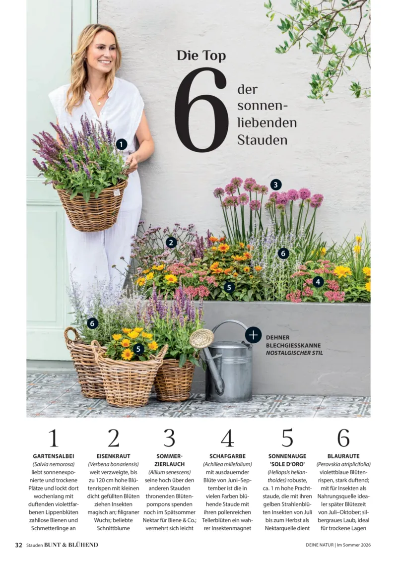 Dehner Prospekt vom 17.04.2026, Seite 32