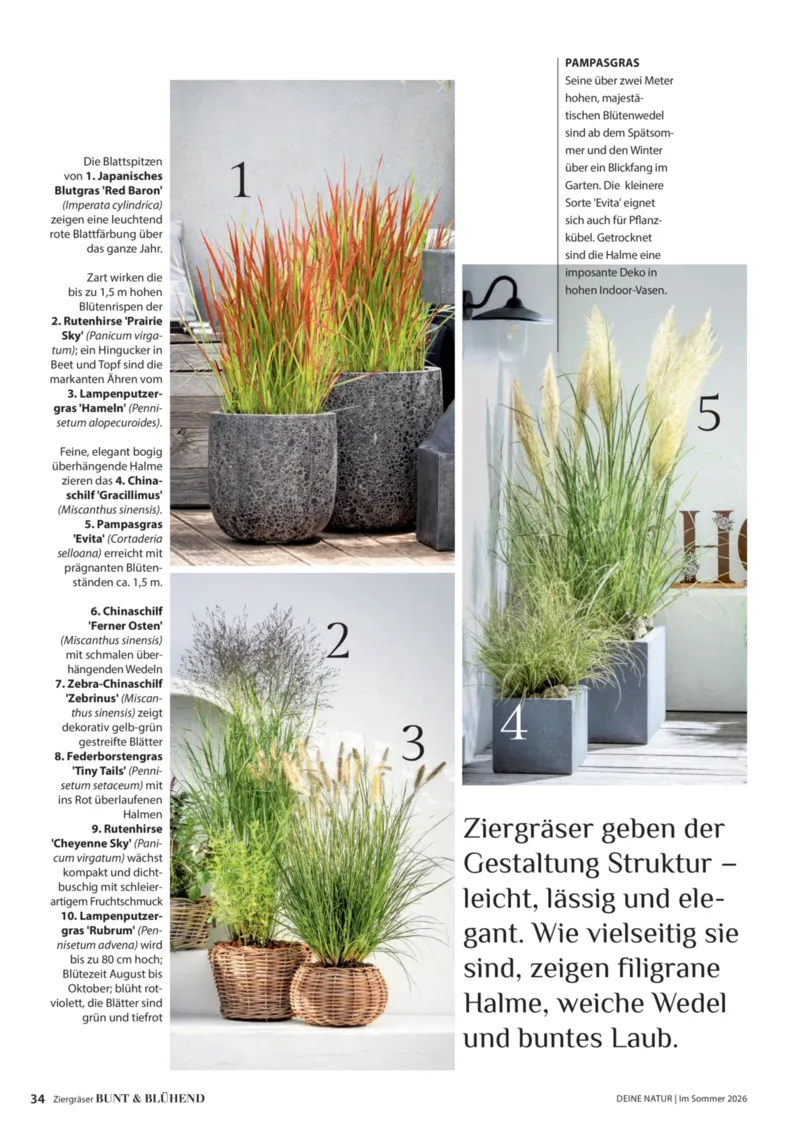 Dehner Prospekt vom 17.04.2026, Seite 34
