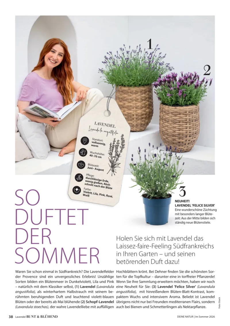 Dehner Prospekt vom 17.04.2026, Seite 38