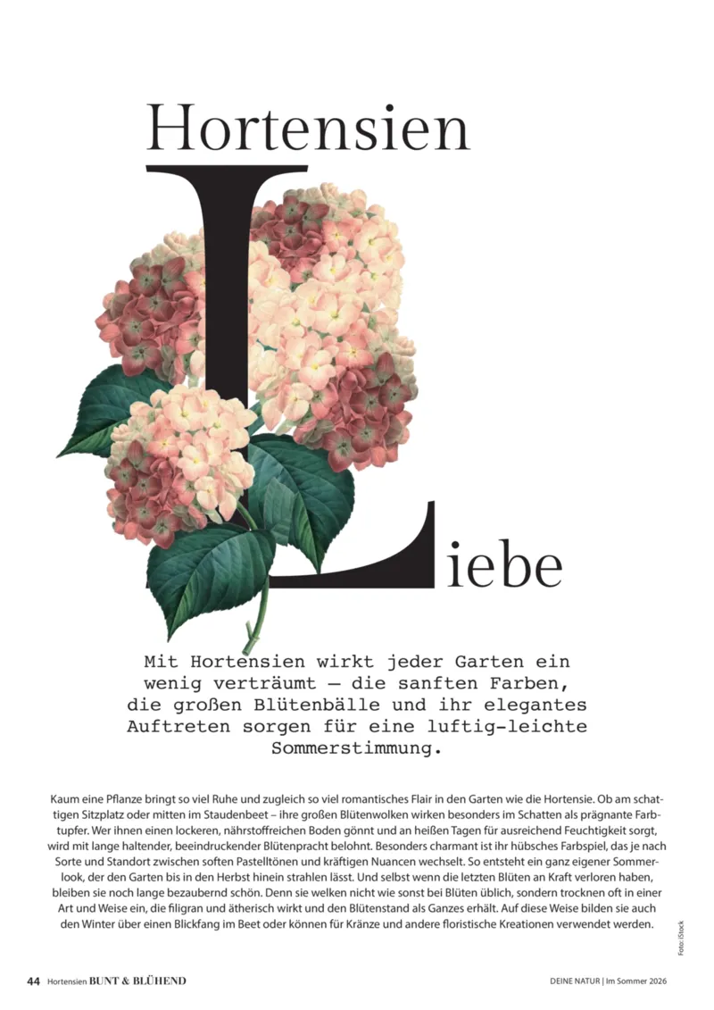 Dehner Prospekt vom 17.04.2026, Seite 44
