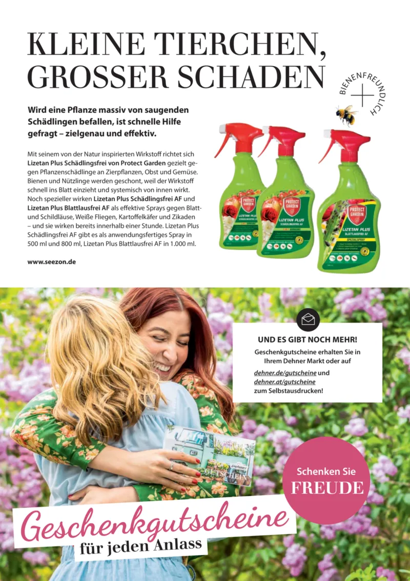 Dehner Prospekt vom 17.04.2026, Seite 55
