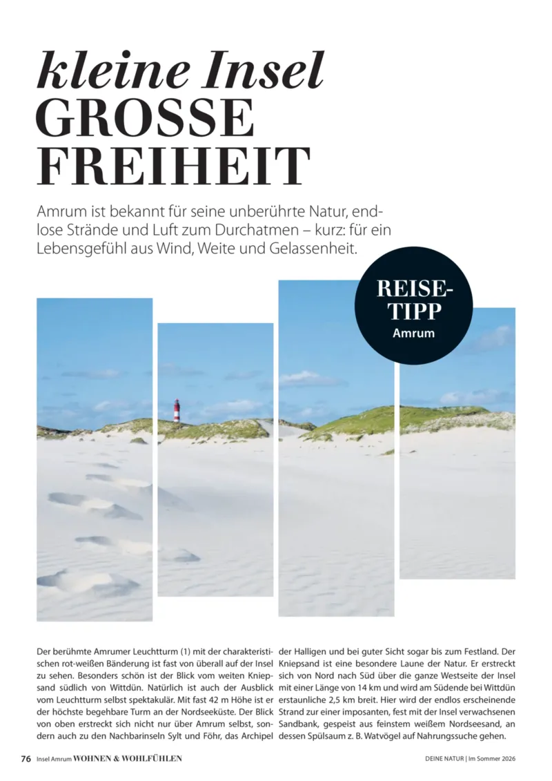 Dehner Prospekt vom 17.04.2026, Seite 76