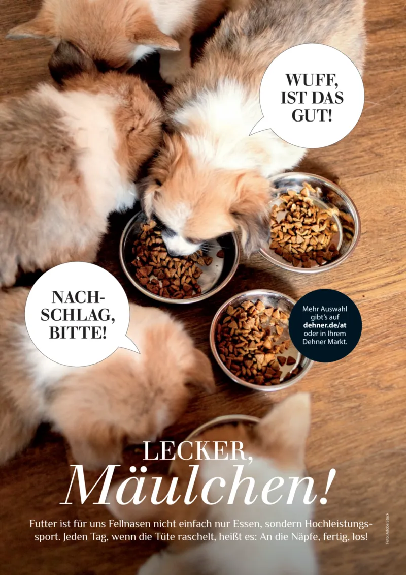 Dehner Prospekt vom 17.04.2026, Seite 88