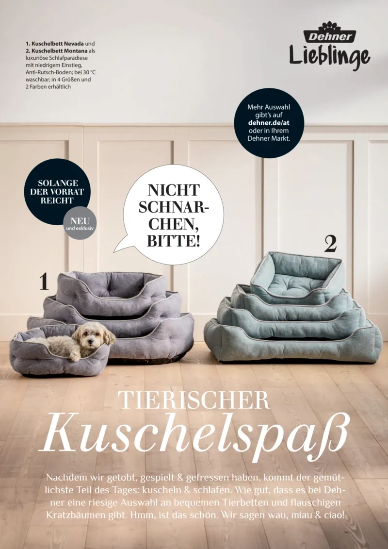 Dehner Prospekt vom 17.04.2026, Seite 91