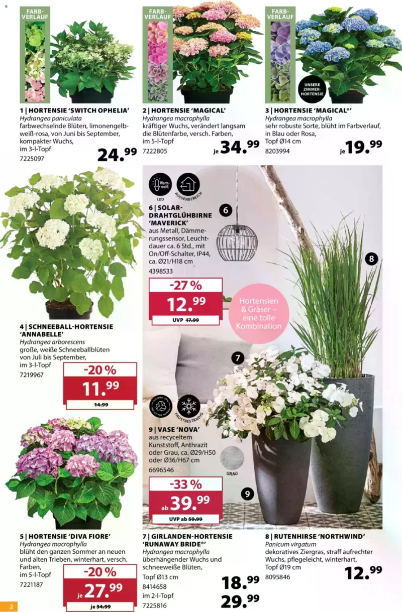 Dehner Prospekt vom 10.06.2026, Seite 2