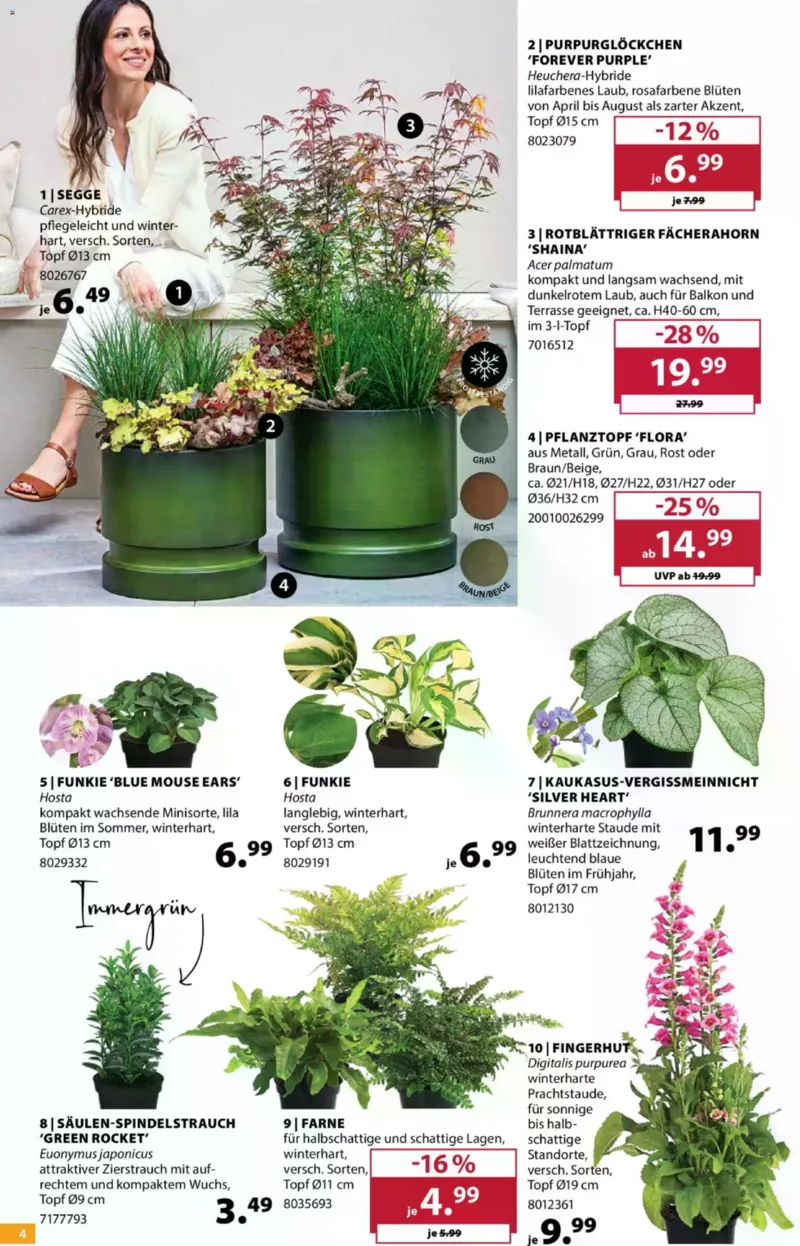 Dehner Prospekt vom 10.06.2026, Seite 4