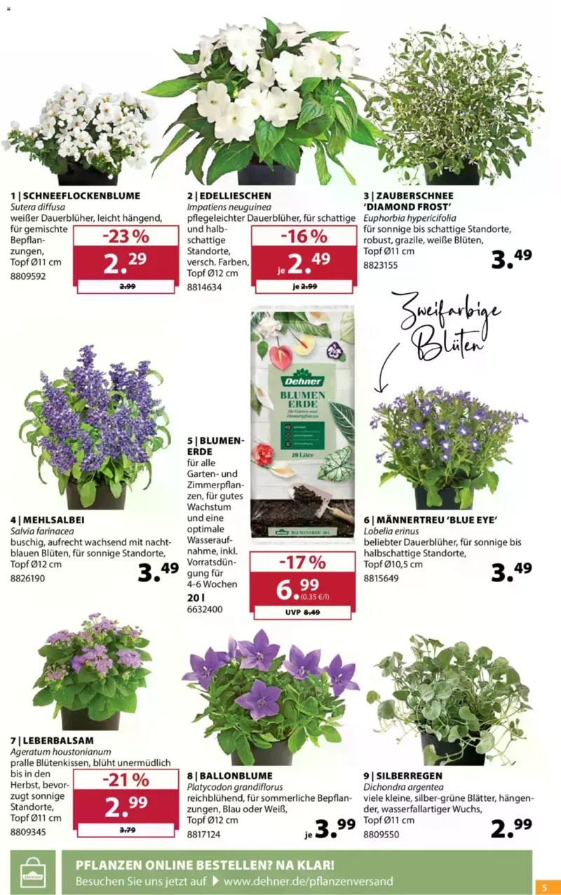 Dehner Prospekt vom 10.06.2026, Seite 5