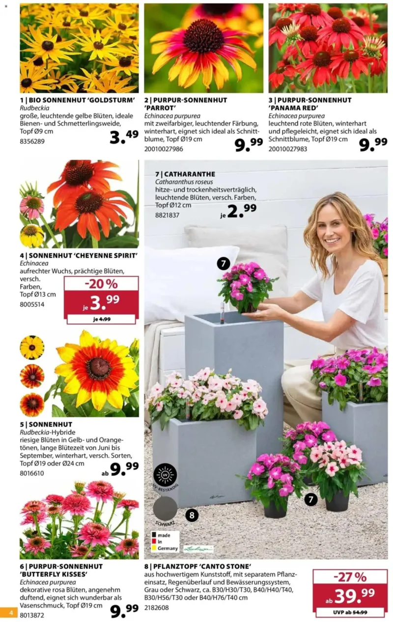 Dehner Prospekt vom 24.06.2026, Seite 4