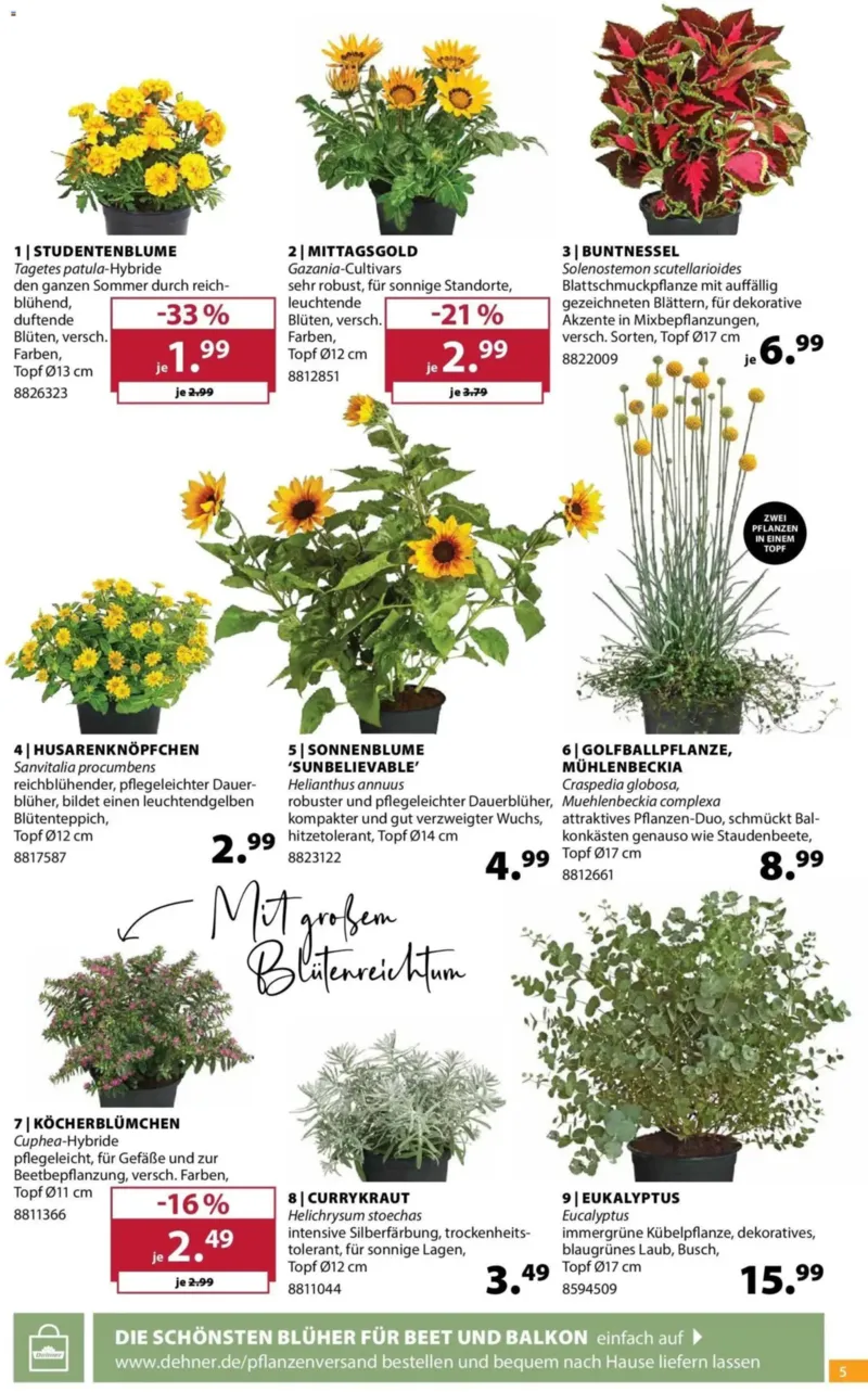 Dehner Prospekt vom 24.06.2026, Seite 5