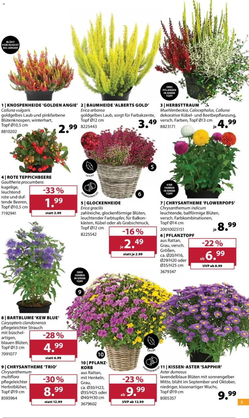 Dehner Prospekt vom 23.09.2026, Seite 3
