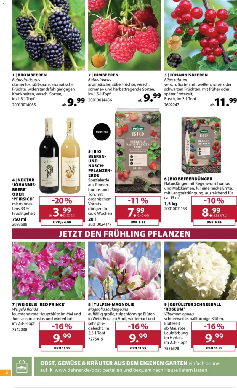 Dehner Prospekt vom 23.09.2026, Seite 6