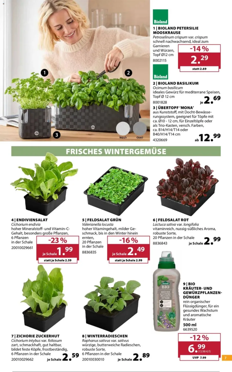 Dehner Prospekt vom 23.09.2026, Seite 7