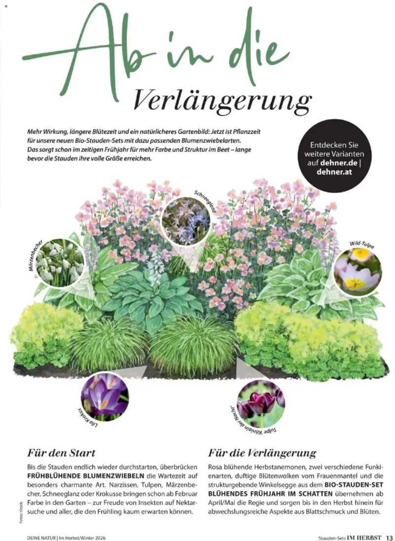 Dehner Prospekt vom 09.10.2026, Seite 13