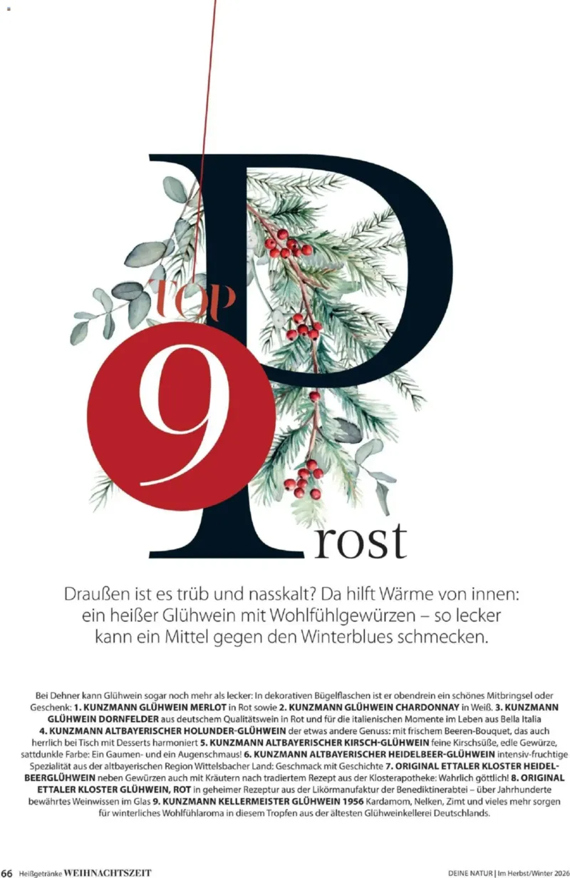 Dehner Prospekt vom 09.10.2026, Seite 66
