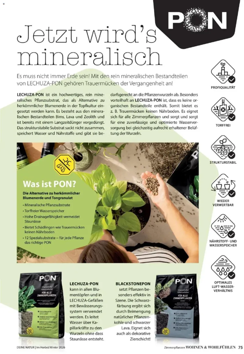 Dehner Prospekt vom 09.10.2026, Seite 75