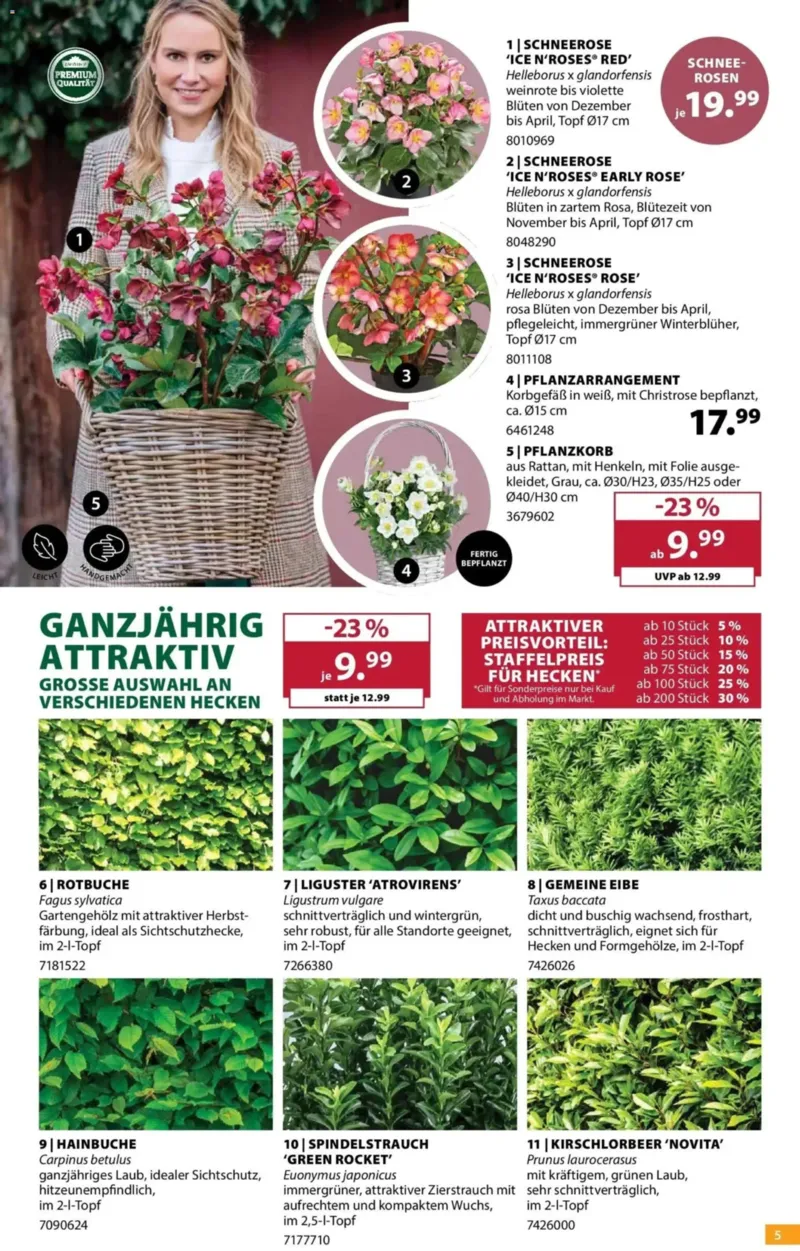 Dehner Prospekt vom 14.10.2026, Seite 5