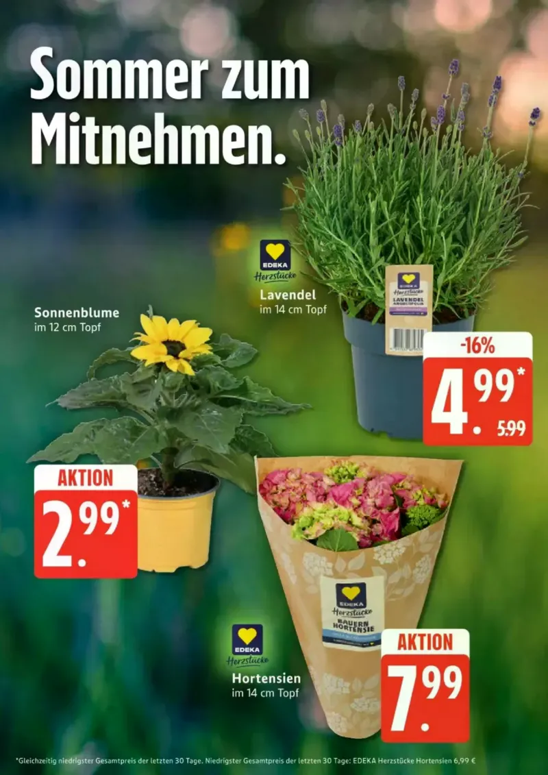 Edeka Prospekt vom 08.06.2026, Seite 18