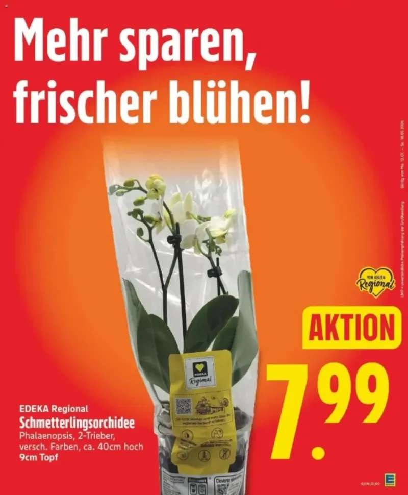 Edeka Prospekt vom 31.08.2026, Seite 5