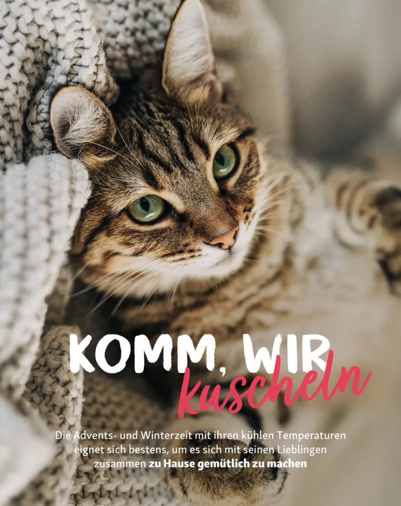 Fressnapf Prospekt vom 01.11.2025, Seite 11