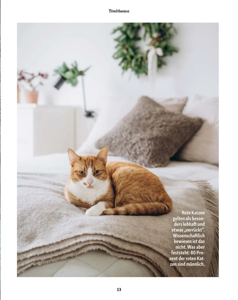 Fressnapf Prospekt vom 01.11.2025, Seite 13